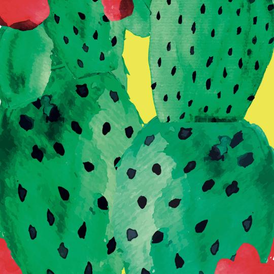 Telo Mare Cactus- particolare