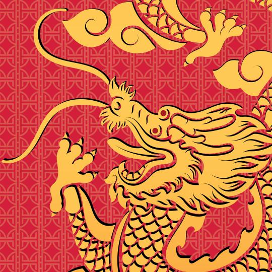 Telo Mare Dragon&Fenice Particolare