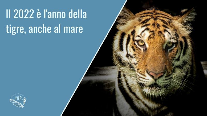 Il 2022 anno è l'anno della Tigre anche per la Moda Mare con Beach Vibes!