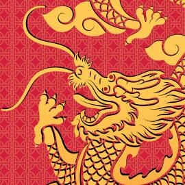 Telo Mare Dragon&Fenice Particolare